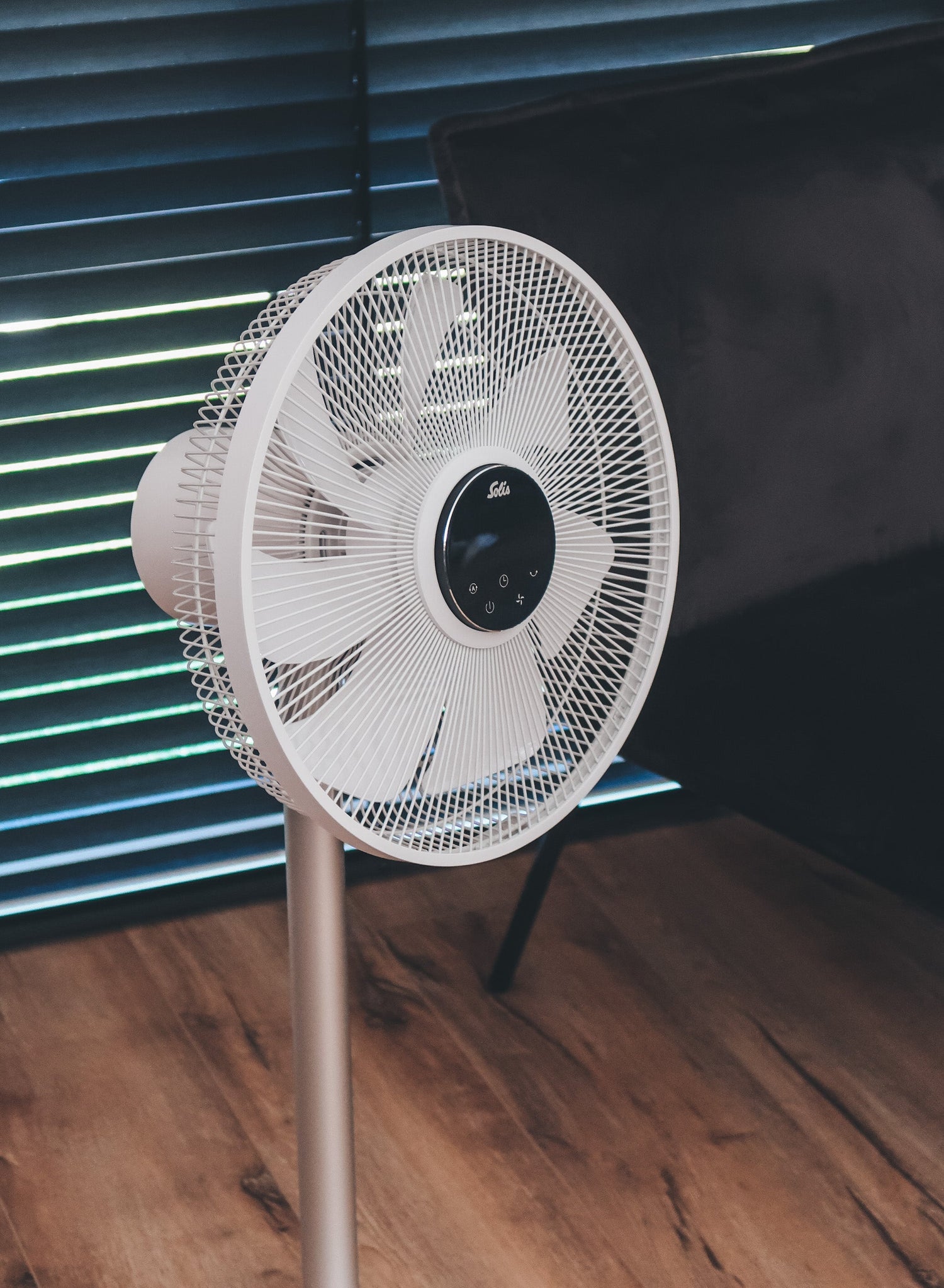 Fans